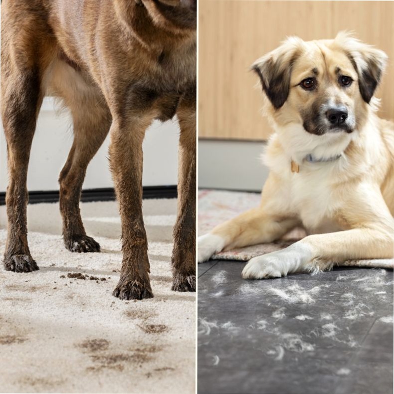 CrossWave® Edge - Pulizia efficiente per i tuoi pavimenti Bianco 0.75lt