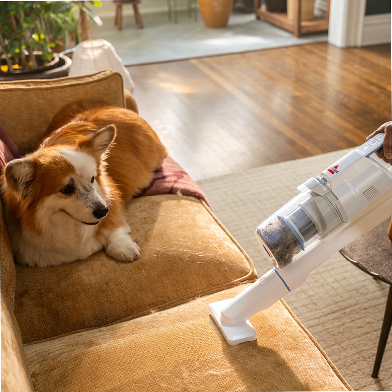 BISSELL PowerClean - Aspirapolvere senza fili potente 0.4lt A Bianco