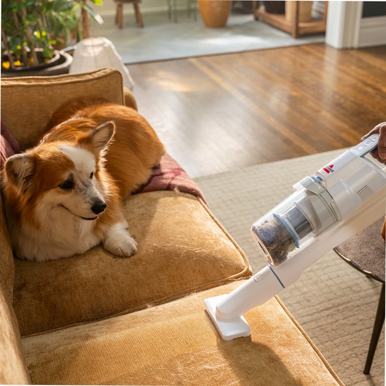 Aspirapolvere BISSELL® PowerClean 0.4lt Nero 200w