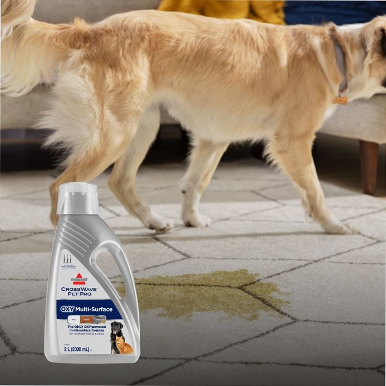BISSELL® CrossWave Pet Pro Oxy