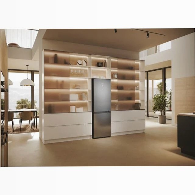 Frigorifero combinato 2D 60 Serie 5 Pro Argento Libera