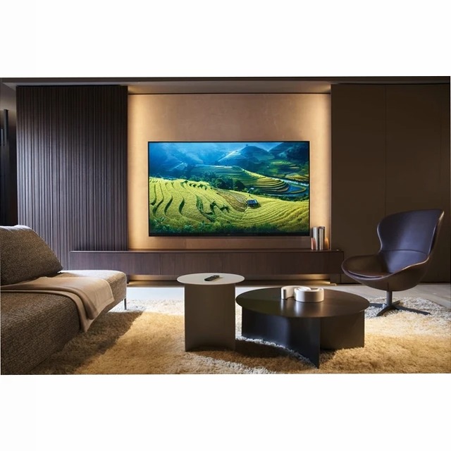 TV QD MINI LED M96 - H100M96FUX - 36200138
