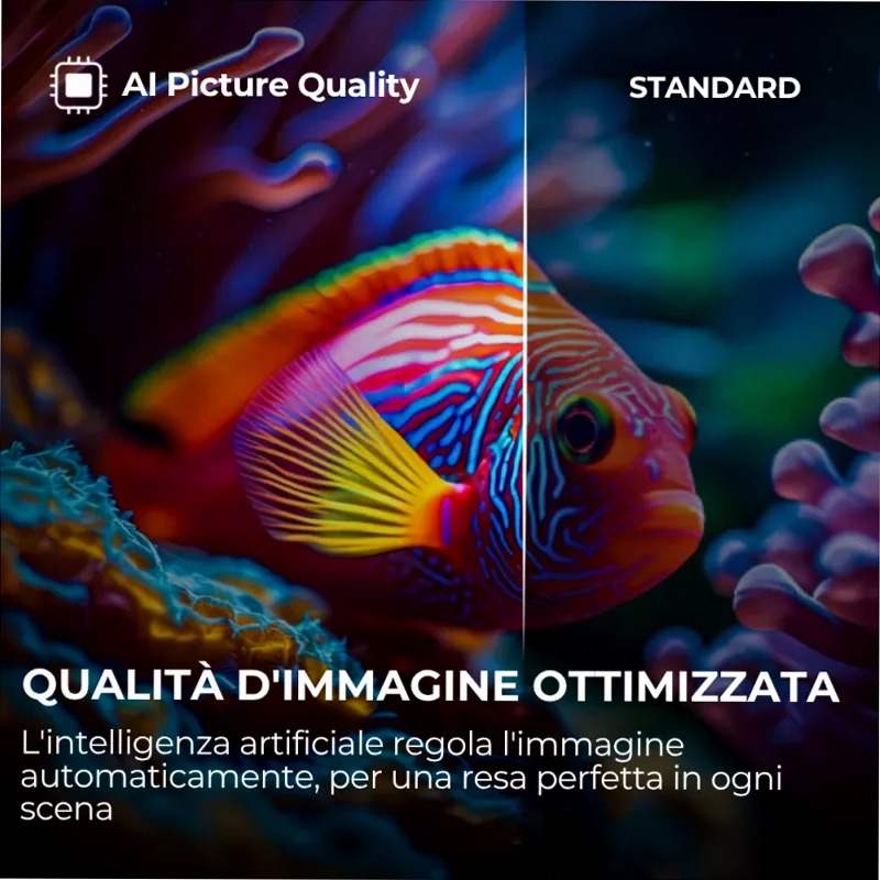 TV QLED S80G - 65 pollici