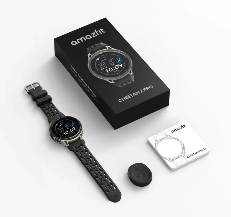 Cheetah 2 Pro 2GB