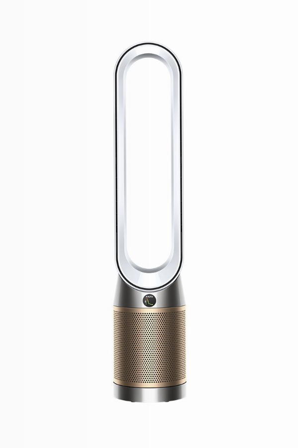 Purificatore Dyson Purifier Cool PC2 De-NOx