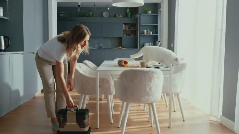 Clean It Hot & Cold, Smacchiatore, Pulitore per Tappeti, Due Modalità di Pulizia, con Spazzola Active Brush