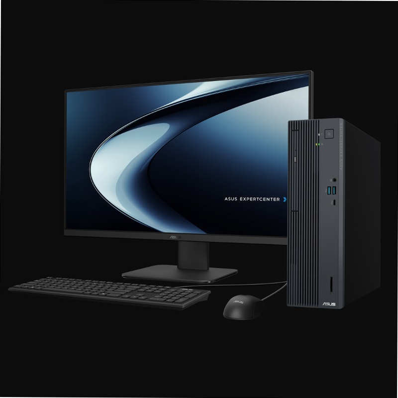 ASUS ExpertCenter P500 SFF (P500SV) - ASUS Notebook - Specifiche Generali 16 Windows