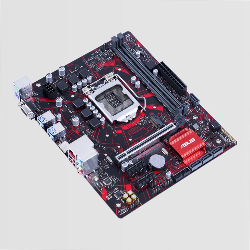 EX-B365M-V5 - Scheda Madre ASUS Intel