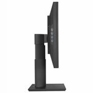 ProArt Display PA248Q - Monitor progettato per la creatività Mini-LED OLED
