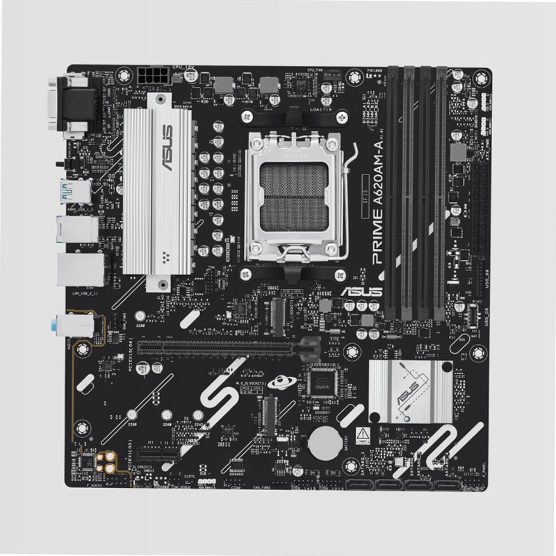 PRIME A620AM-A-CSM - Specifiche Generali|Schede Madri|ASUS Italia DDR5