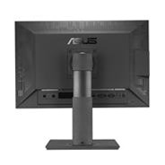 ProArt Display PA249Q - Monitor Professionale 24" Mini-LED Beige OLED 2560 x 1080