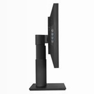 ProArt Display PA249Q - Monitor Professionale 24" Mini-LED Beige OLED 2560 x 1080
