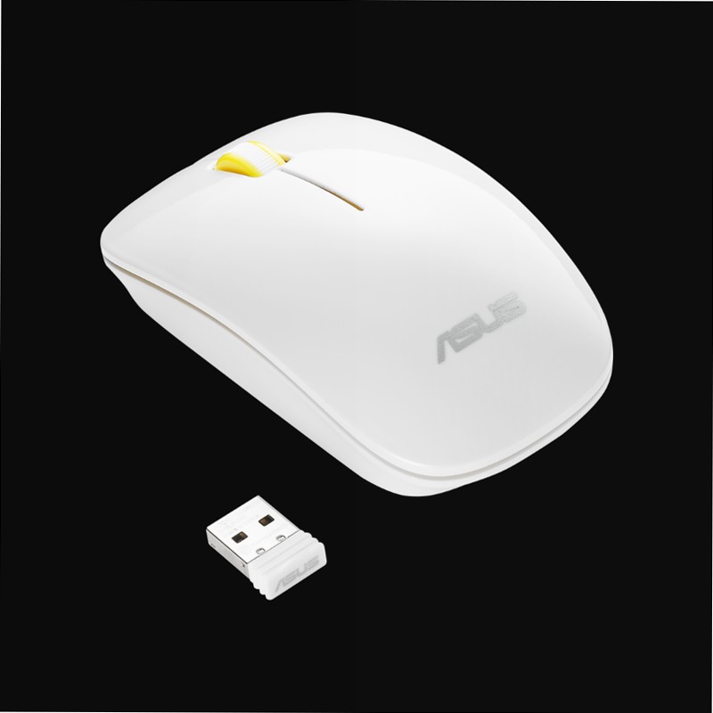 WT300 Wireless Mouse - Specifiche Generali|Mouse e Tappetini per Mouse|ASUS Italia