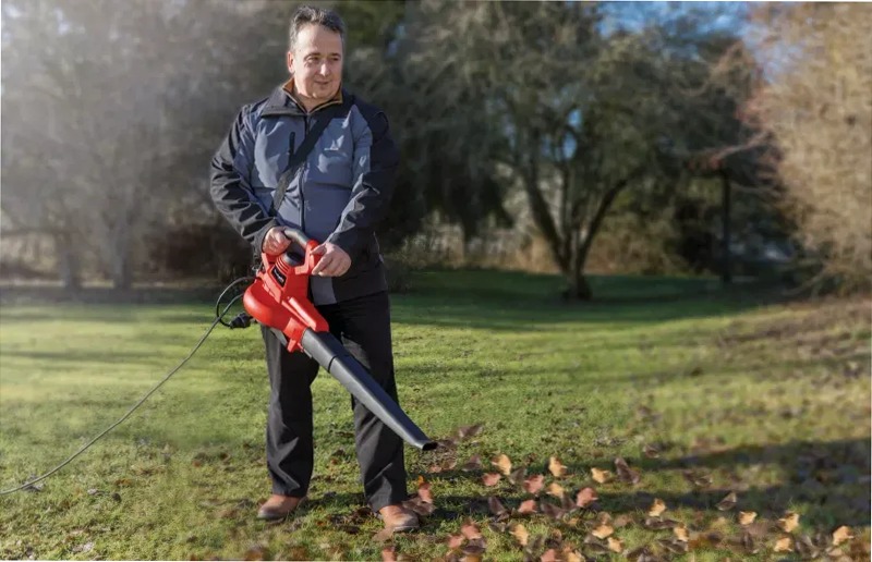 Einhell Soffiatore/Aspiratore per Foglie GC-EL 3000 E