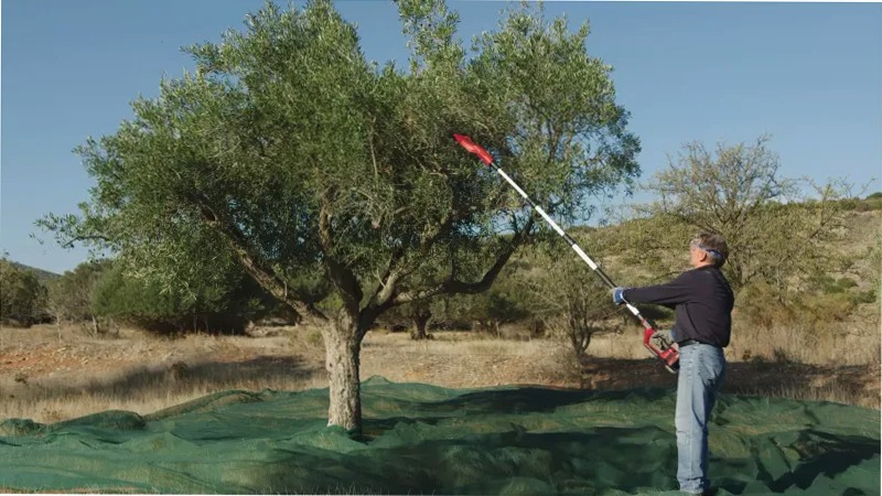 Einhell Abbacchiatore di olive/frutta GE-FS 18/53 Li-Solo