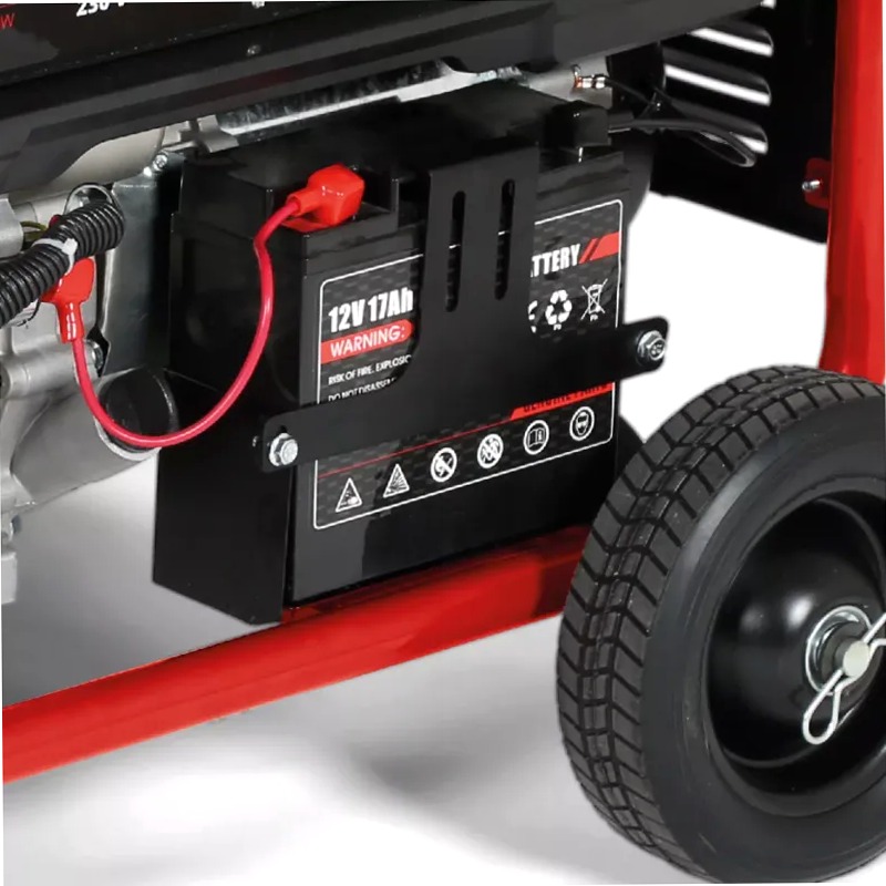 Einhell Generatore di corrente (benzina) TC-PG 8000