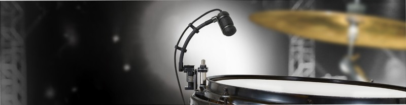 Microfoni ATM350a - Artist Series