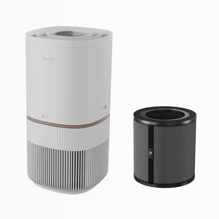 Purificatore d'aria Pure 500