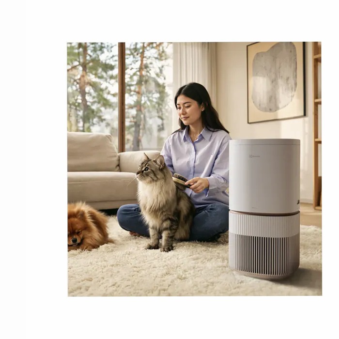 Purificatore d'aria Pure 500