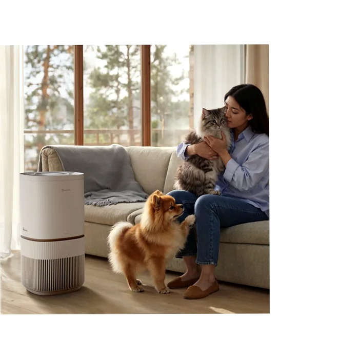 Purificatore d'aria Pure 500
