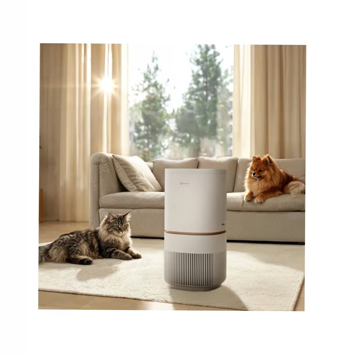 Purificatore d'aria Pure 500