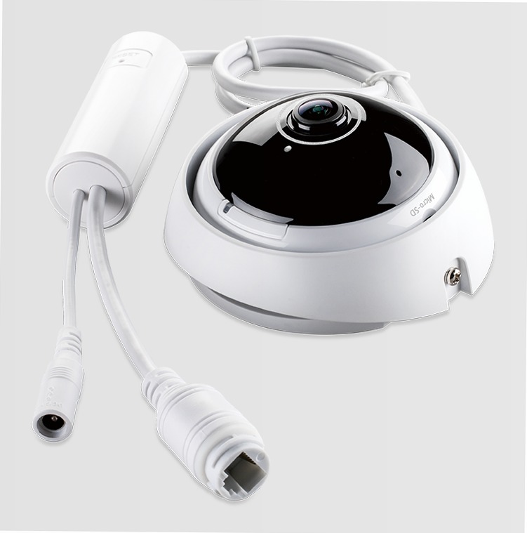 DCS-4622 Videocamera Vigilanza Panoramica Full HD PoE