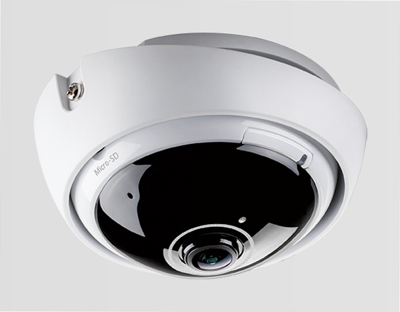 DCS-4622 Videocamera Vigilanza Panoramica Full HD PoE