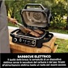Barbecue elettrico e Affumicatore Ninja Woodfire OG701EU Grigio