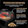 Barbecue elettrico e Affumicatore Ninja Woodfire con Custodia e Supporto OG701EUB Grigio