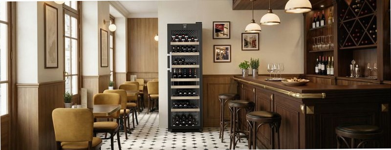 WFbli 5241 Perfection Cantina temperata per vini Professional
