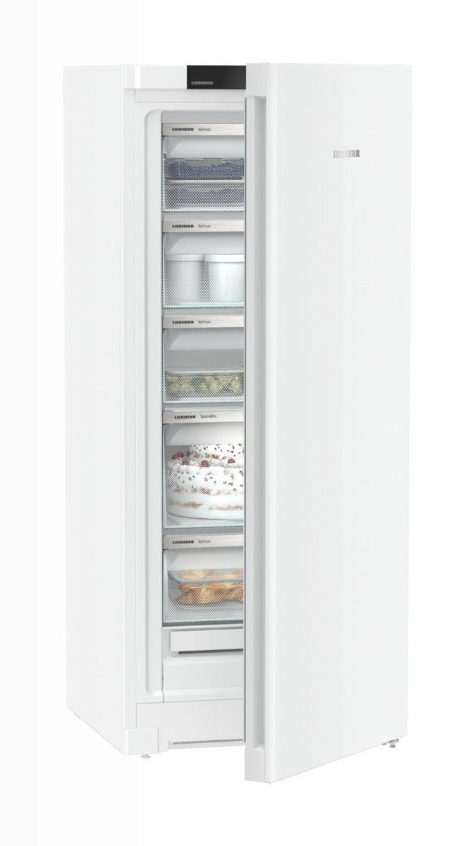 Congelatore FNe 4605 Pure NoFrost Bianco