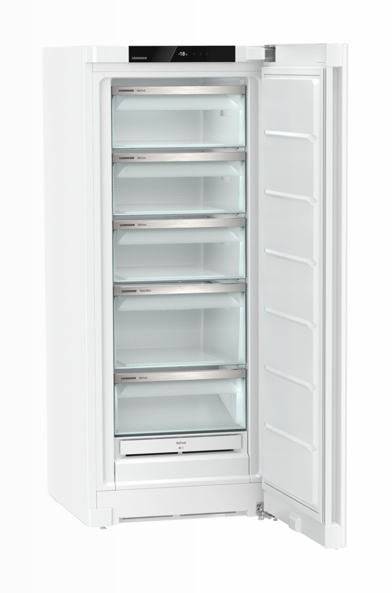 Congelatore FNe 4605 Pure NoFrost Bianco