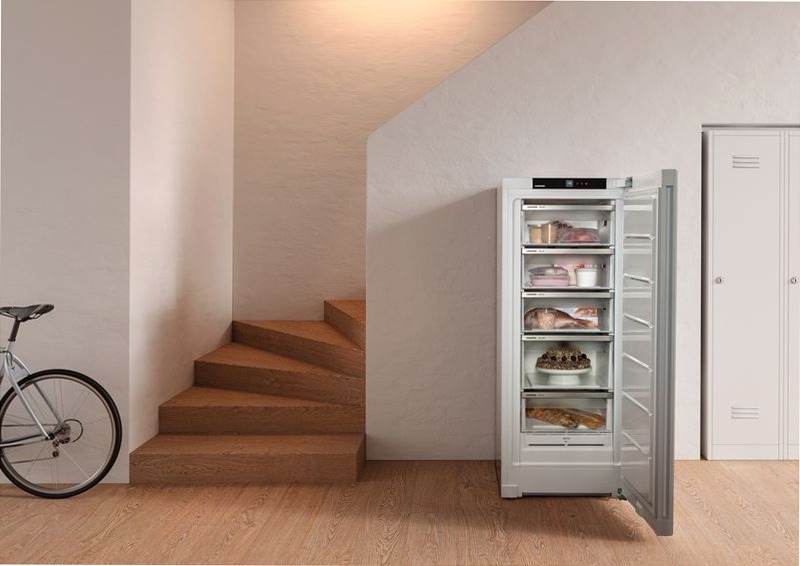 Congelatore FNe 4605 Pure NoFrost Bianco