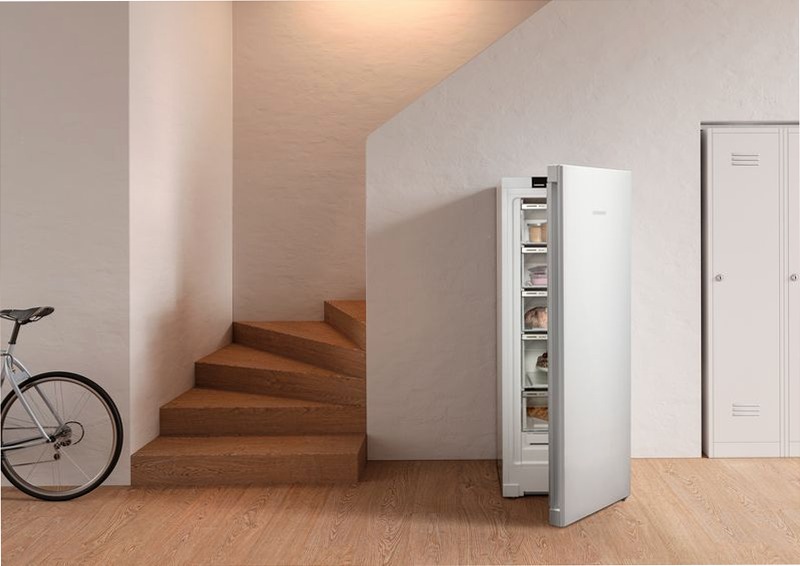 Congelatore FNe 4605 Pure NoFrost Bianco