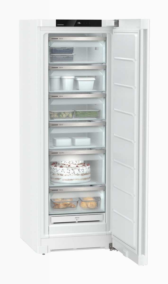 Congelatore FNe 5006 Pure NoFrost Bianco