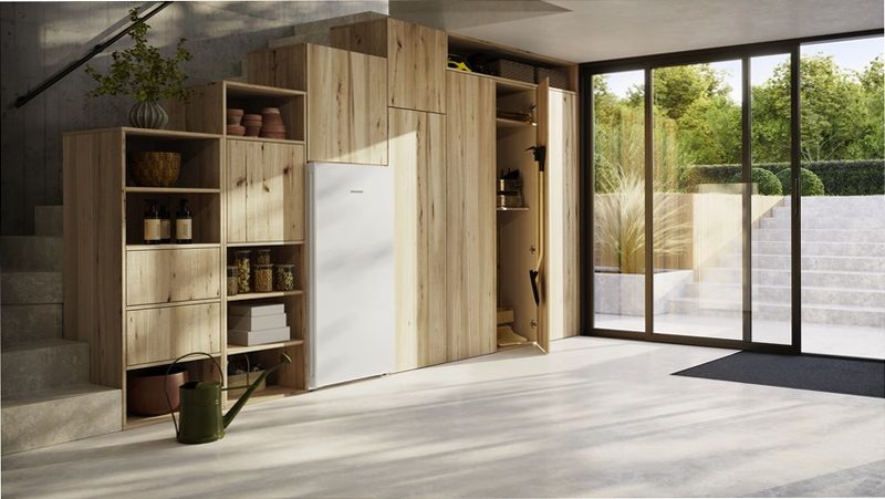 Congelatore FNa 6635 Plus Bianco