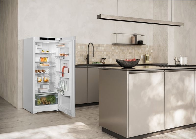 Rd 4600 - Frigorifero autoportante EasyFresh D