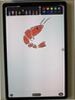 Galaxy Tab S10+ (12.4", Wi-Fi) Grigio