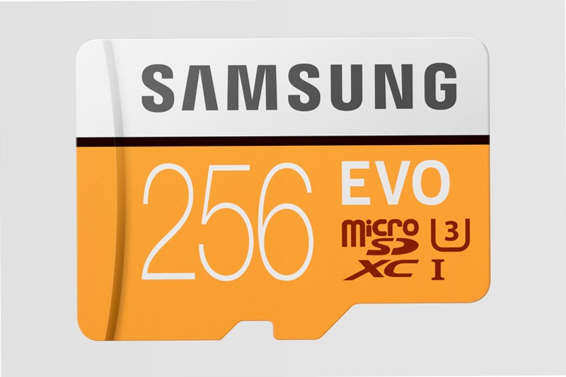 Scheda MicroSD EVO - 256 GB, 100 MB/s 256GB