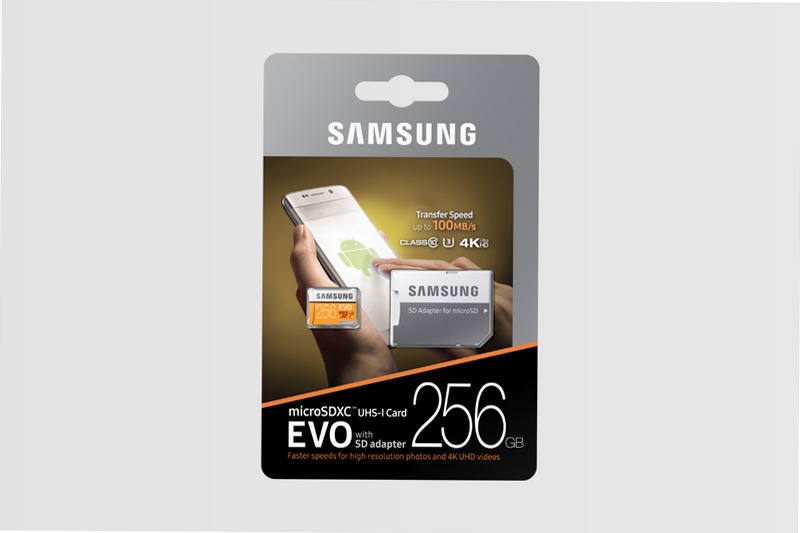 Scheda MicroSD EVO - 256 GB, 100 MB/s 256GB