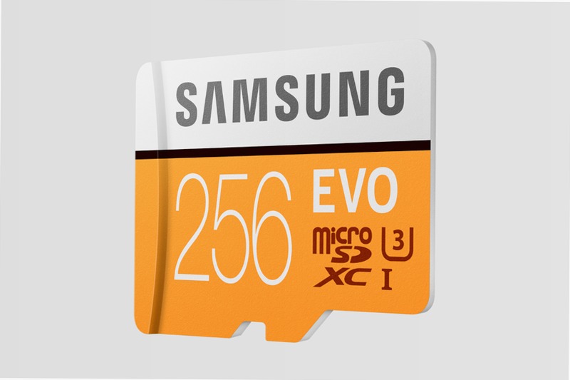 Scheda MicroSD EVO - 256 GB, 100 MB/s 256GB