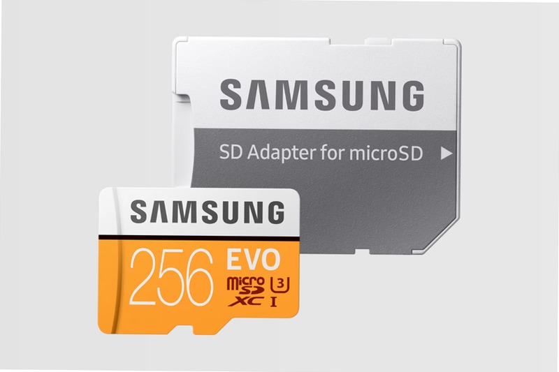 Scheda MicroSD EVO - 256 GB, 100 MB/s 256GB