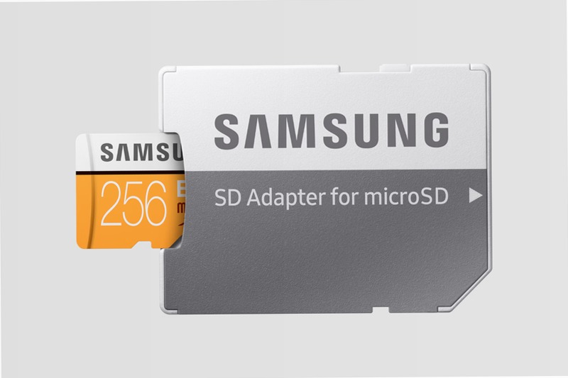 Scheda MicroSD EVO - 256 GB, 100 MB/s 256GB