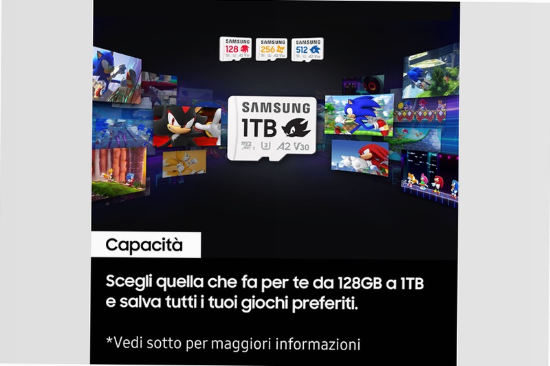 Sonic PRO Plus microSD 256GB - Velocità e Affidabilità