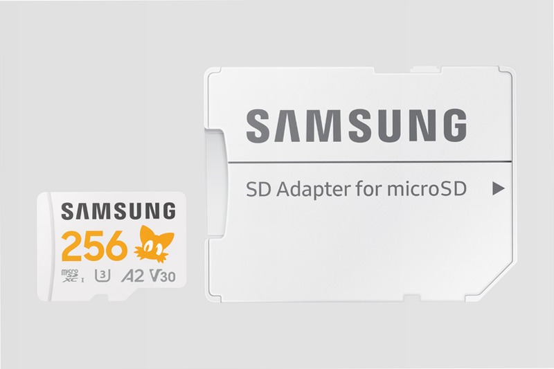 Sonic PRO Plus microSD 256GB - Velocità e Affidabilità