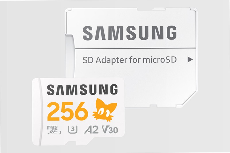 Sonic PRO Plus microSD 256GB - Velocità e Affidabilità