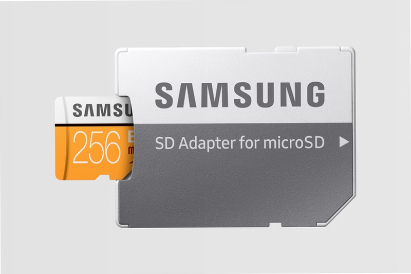 Scheda MicroSD EVO - 2017, 100 MB/s (Adattatore SD incluso) 256 GB