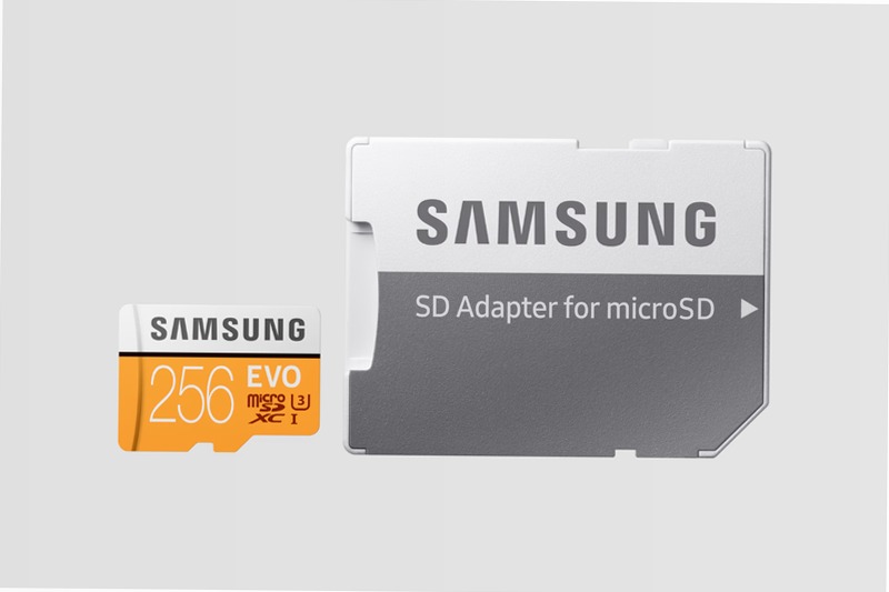 Scheda MicroSD EVO - 2017, 100 MB/s (Adattatore SD incluso) 256 GB
