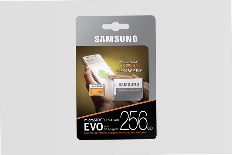 Scheda MicroSD EVO - 2017, 100 MB/s (Adattatore SD incluso) 256 GB