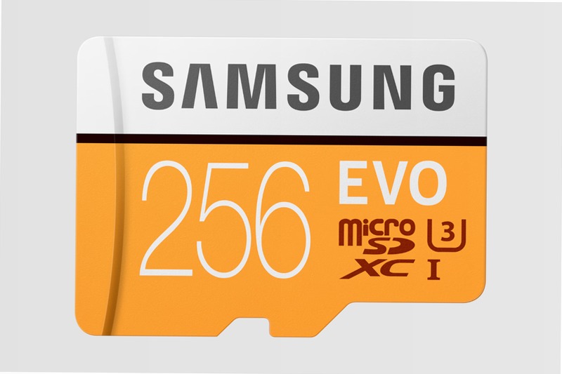 Scheda MicroSD EVO - 2017, 100 MB/s (Adattatore SD incluso) 256 GB